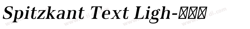 Spitzkant Text Ligh字体转换